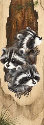 Framed Just Looking Print