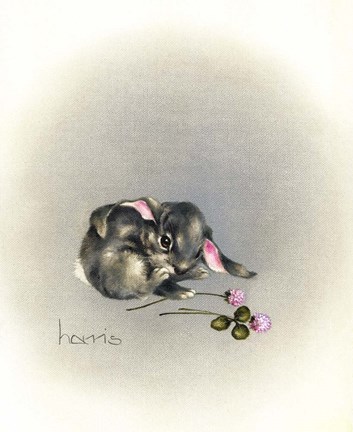 Framed Ears Lookin At You Kid Print