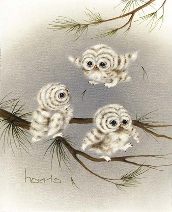 Framed Baby Barnstormers Print