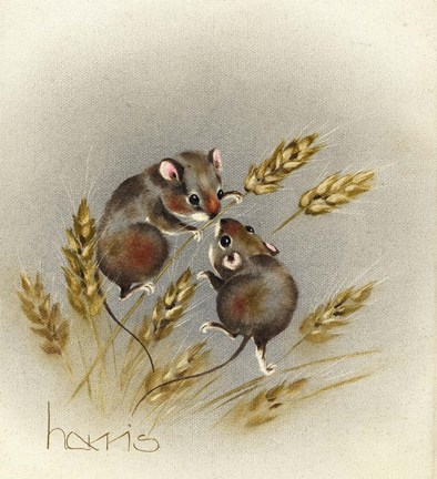 Framed Kissin&#39; Cousins Print