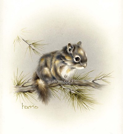 Framed Tattle-Tail Baby Print