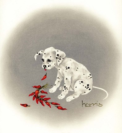 Framed Dalmation 5 - Chile Dog Print