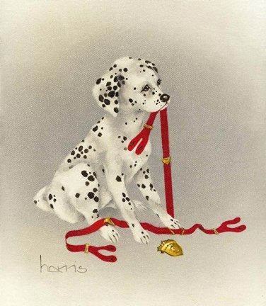 Framed Dalmation 4- Hot Diggity Dog Print