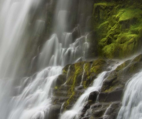 Framed Glowing Mist Print