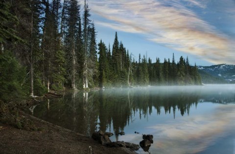 Framed Rising Mist Print