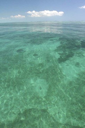 Framed Catrell Key Vertical Print