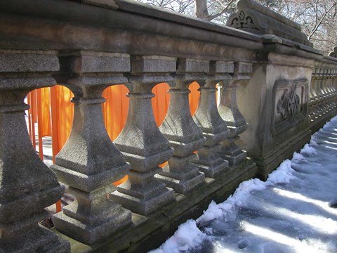 Framed Central Park Gates Print