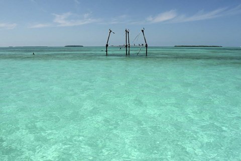 Framed Hemingway's Platform Print