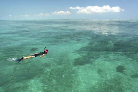 Framed Snorkeler Print