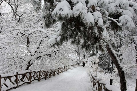 Framed Central Park Path Deep Snow Print