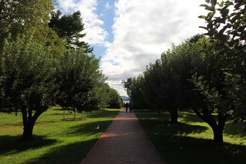 Framed Formal Hudson River Garden Print