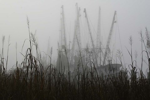 Framed Early Morning Shrimper On The Altamaha Print