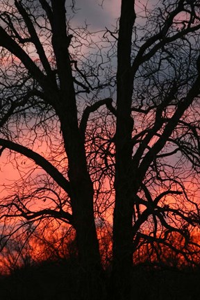 Framed November Sunset Vertical Print