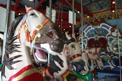 Framed Central Park Carousel Print