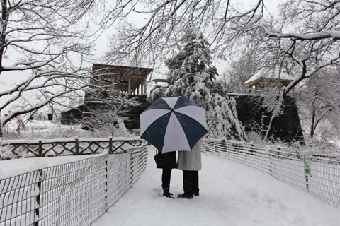 Framed Central Park Couple In The Snow Print