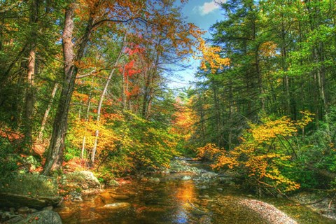 Framed Autumn Brook Print