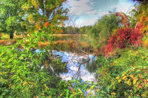 Framed Autumn Pond Print