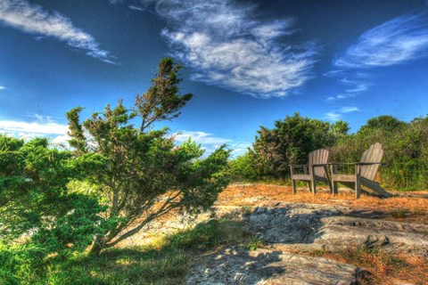 Framed Chairs And Windblown Tree Print