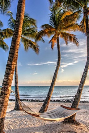Framed Four Palm Hammock Print