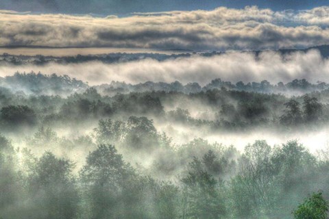 Framed Gray Mist Print