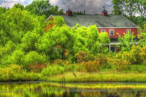 Framed Heron Haven Print