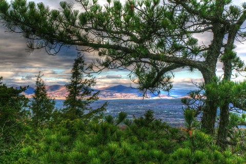 Framed Mountain Views Print