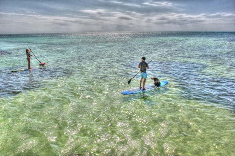Framed Paddle Board Pups Print