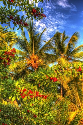 Framed Palms And Red Flowers Vertical Print