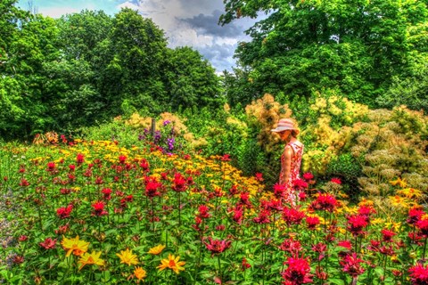 Framed Summer Garden Print