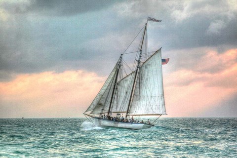 Framed Appledore Print