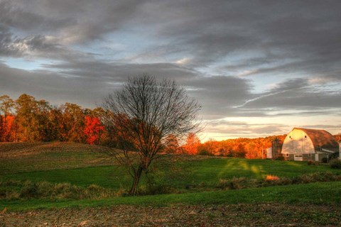Framed Neighbor&#39;s Barn Sunset Print