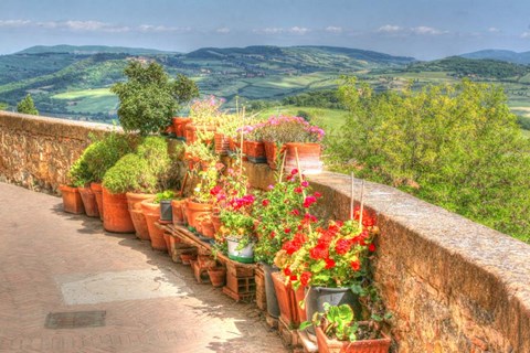 Framed Tuscan Garden View Print