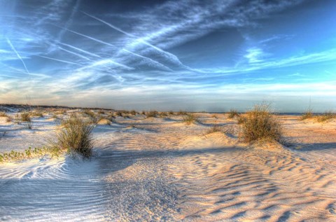 Framed Two Color Florida Sand Print