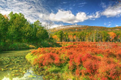 Framed Whitecliffs Print