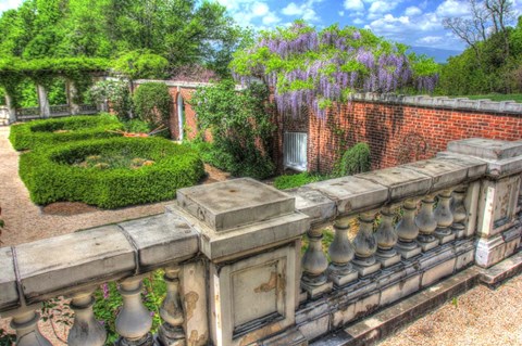 Framed Blithwood 1 Print