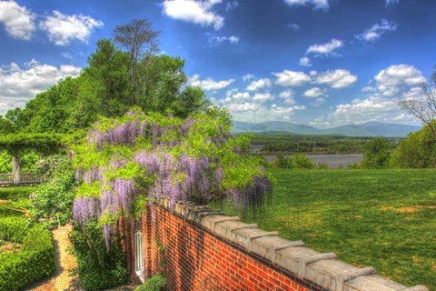 Framed Blithwood 3 Print