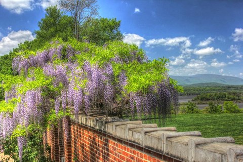 Framed Blithwood 4 Print