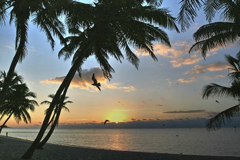 Framed Key West Sunrise VII Print