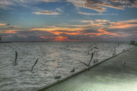 Framed Key West Sunrise Gulls and Pier Print