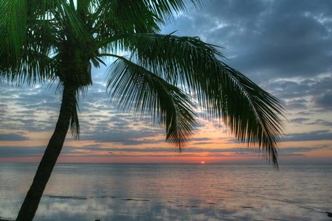 Framed Key West Sunrise One Palm Print