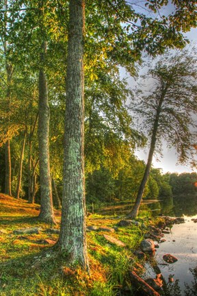 Framed Lakeside Vertical Print