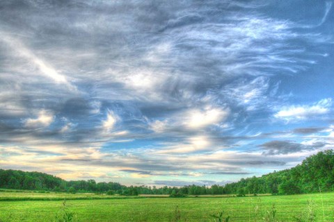 Framed Meadow Midday Print
