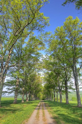 Framed Mohonk II Print