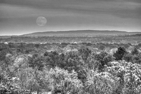 Framed Moonrise B&amp;W Print