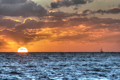 Framed Blue Sea Gulls and Clipper Print