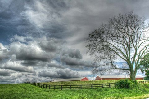 Framed Paddock Storm Print
