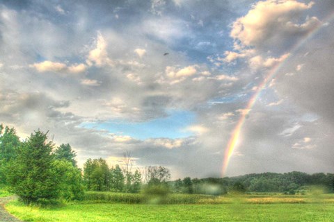 Framed Rainbow and Heron Print