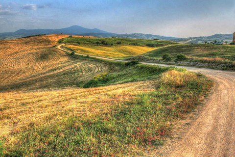 Framed Tuscan Ridge Top Trail Print