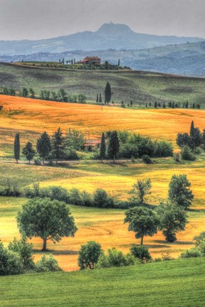 Framed Tuscan Vertical Switchbacks Print