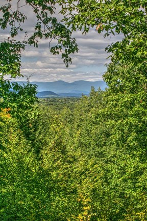 Framed Val Kill View Vertical Print